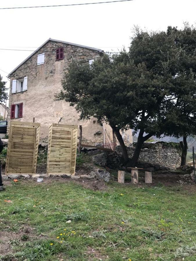 Camping L'Agrottu Au Coeur De La Corse Santa-Lucia-di-Mercurio Bagian luar foto