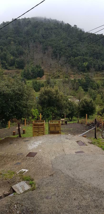 Camping L'Agrottu Au Coeur De La Corse Santa-Lucia-di-Mercurio Bagian luar foto