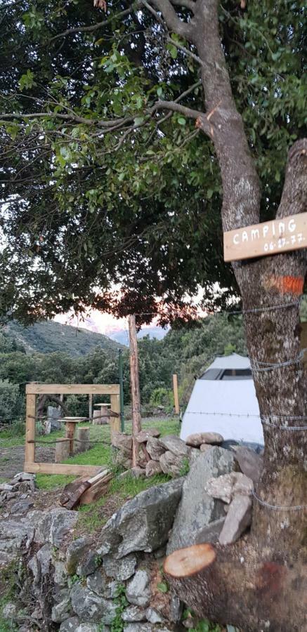 Camping L'Agrottu Au Coeur De La Corse Santa-Lucia-di-Mercurio Bagian luar foto