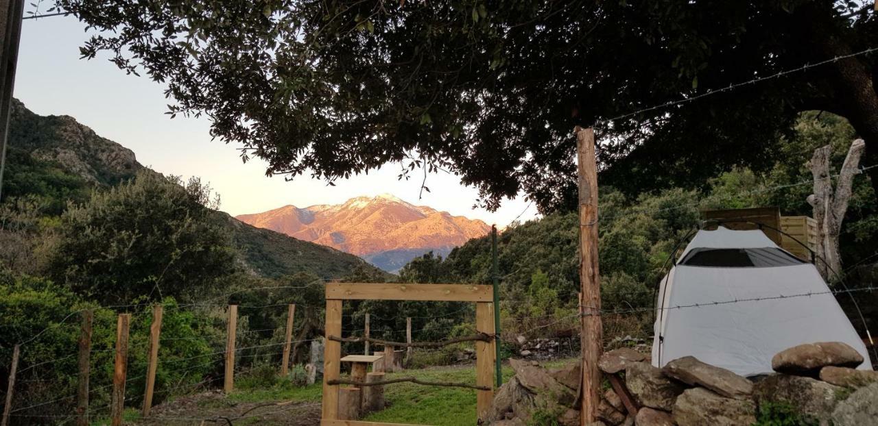 Camping L'Agrottu Au Coeur De La Corse Santa-Lucia-di-Mercurio Bagian luar foto