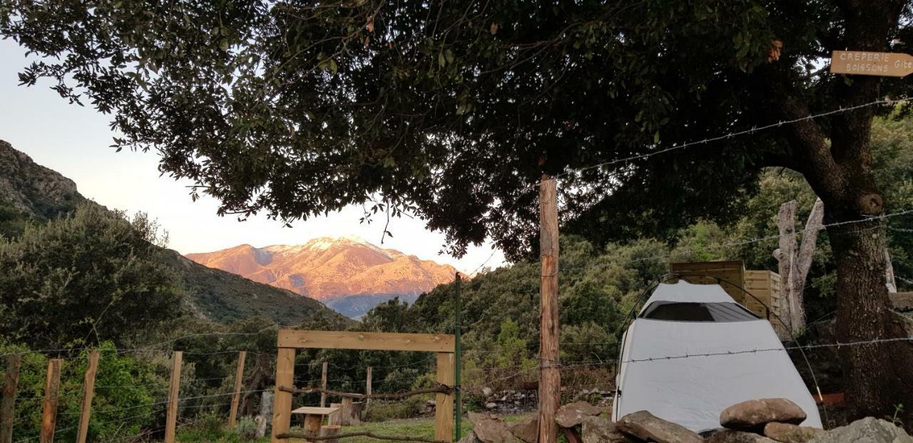Camping L'Agrottu Au Coeur De La Corse Santa-Lucia-di-Mercurio Bagian luar foto