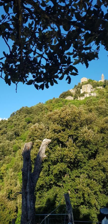 Camping L'Agrottu Au Coeur De La Corse Santa-Lucia-di-Mercurio Bagian luar foto