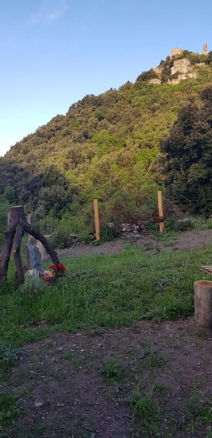 Camping L'Agrottu Au Coeur De La Corse Santa-Lucia-di-Mercurio Bagian luar foto